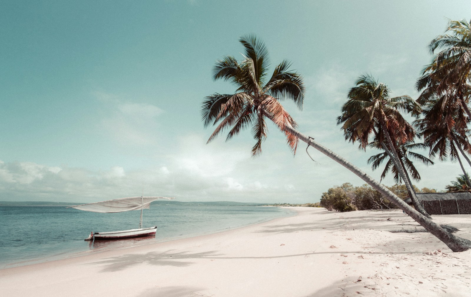 Palm-fringed beach in the Bazaruto Archipelago