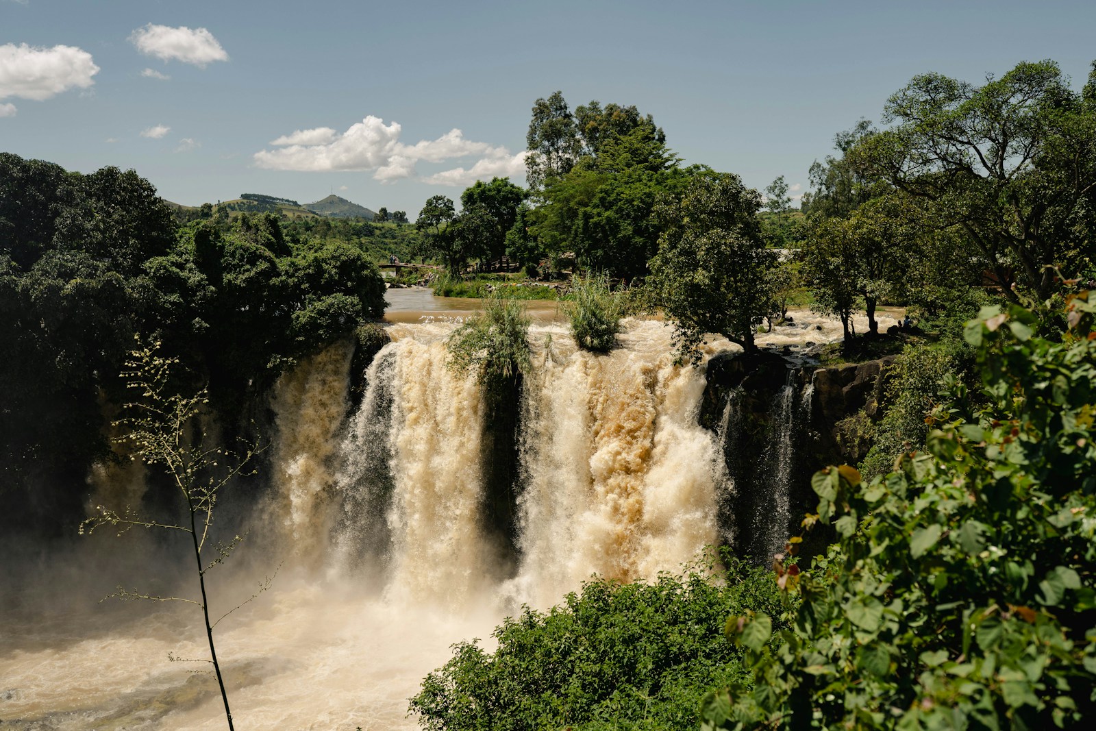 Waterfall plunging into a gorge