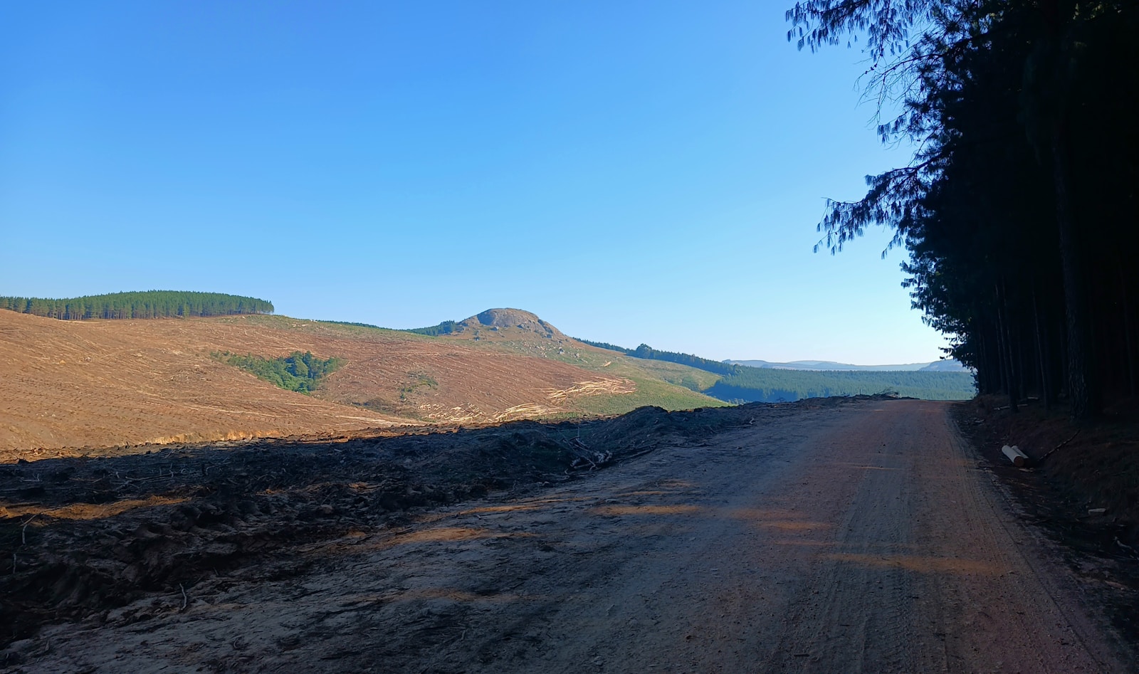 Granite dome of Sibebe Rock in the Eswatini countryside