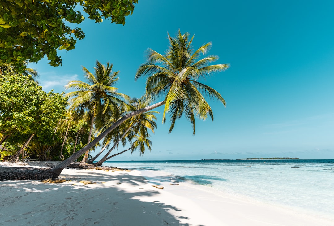 Palm-fringed white sand and turquoise Indian Ocean at Diani Beach, Kenya