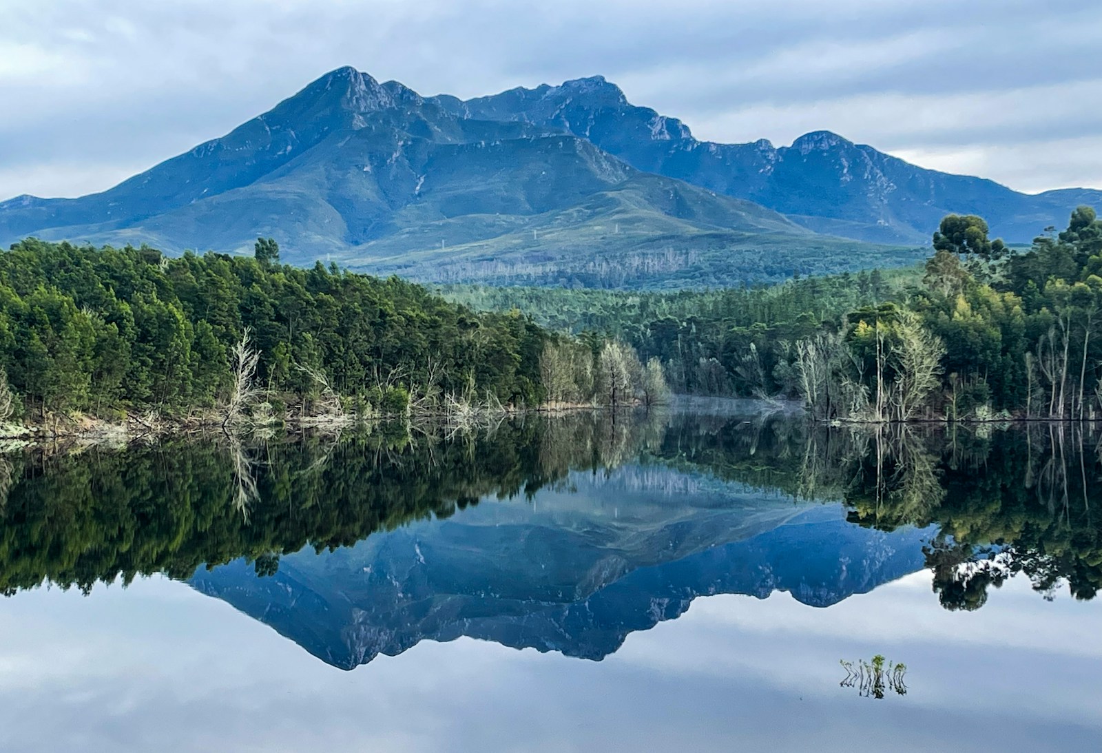 A lake surrounded by forest and mountains on the Garden Route