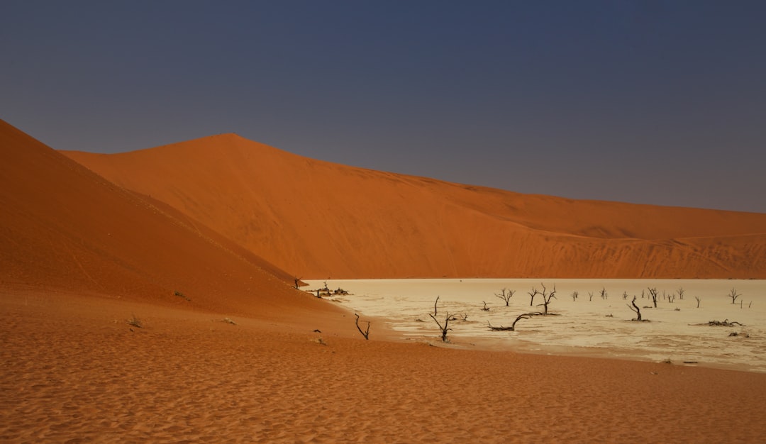 The arid red dune landscape of the Kgalagadi, southern Africa