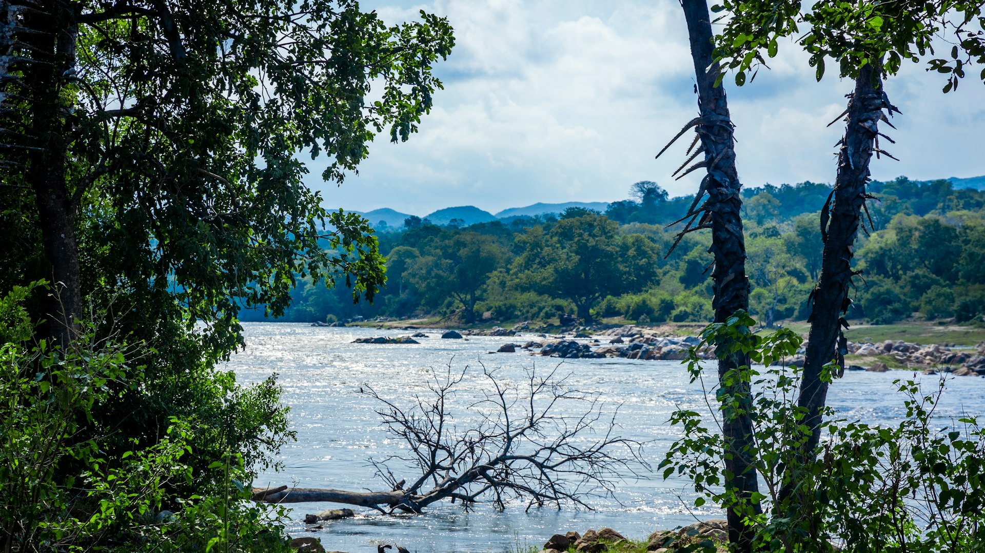 Lake Malawi water surrounded by trees and rocky shoreline