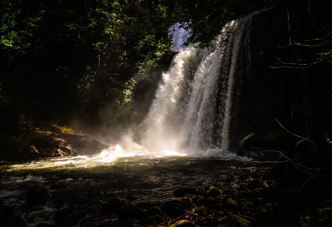 A subtropical forest waterfall — evocative of Phophonyane Falls in northern Eswatini