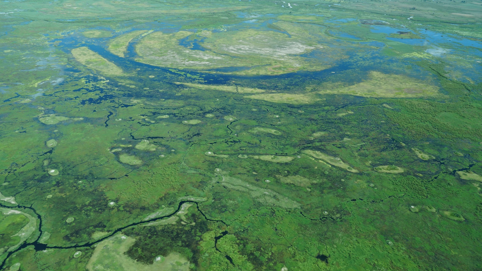 Aerial view of the Okavango Delta