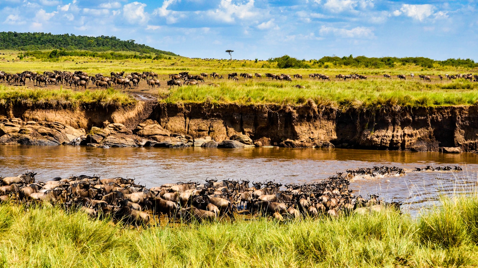 Sandstone cliffs above an African river
