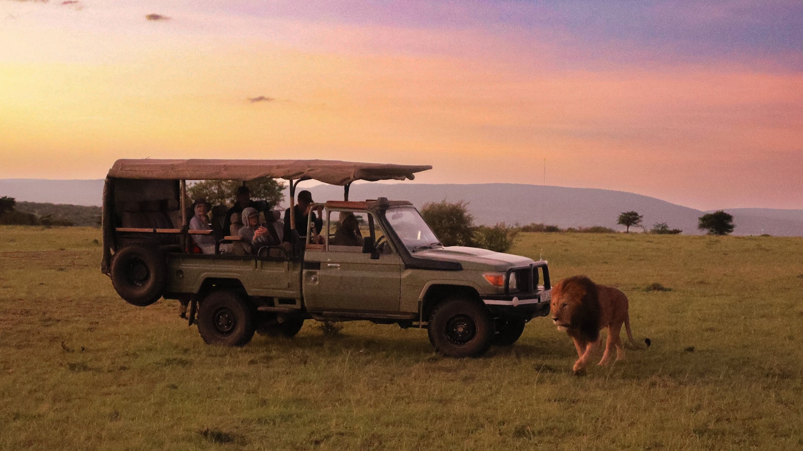 Wildlife on the plains of the Maasai Mara