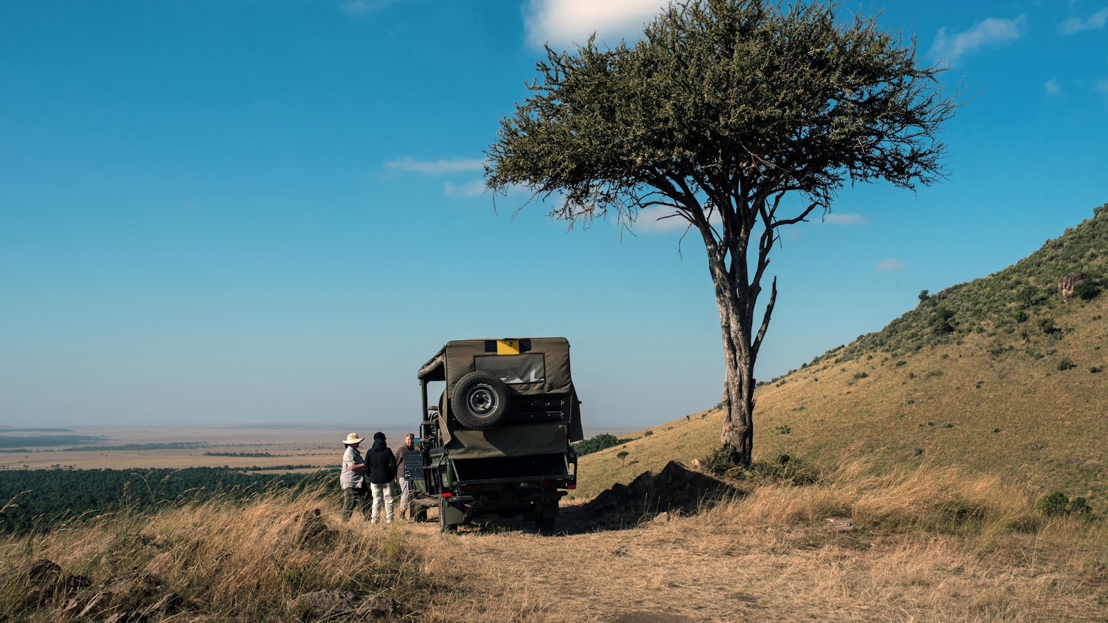 A guided walking safari in the bush