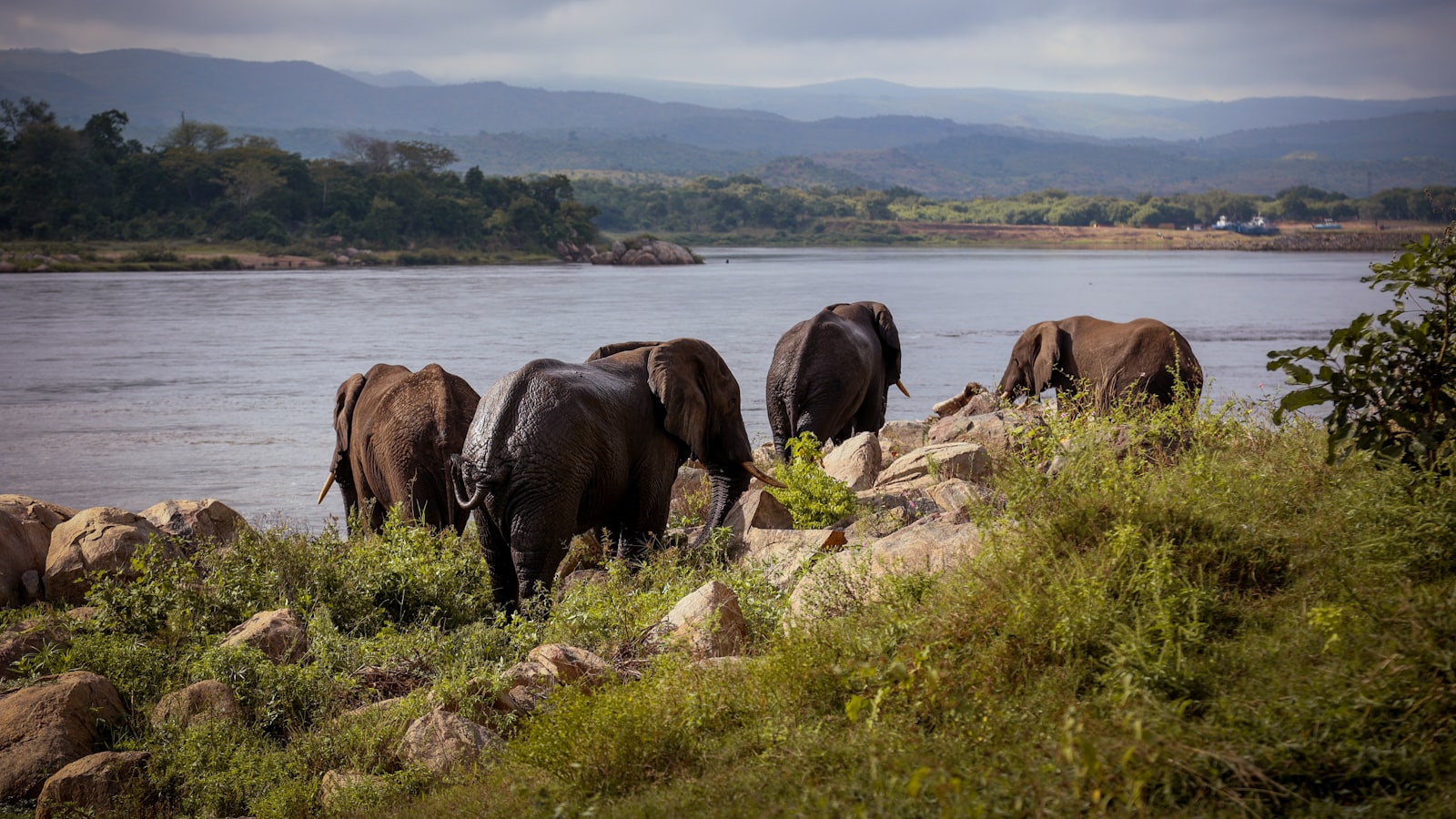 Lake Malawi, the heart of Malawi