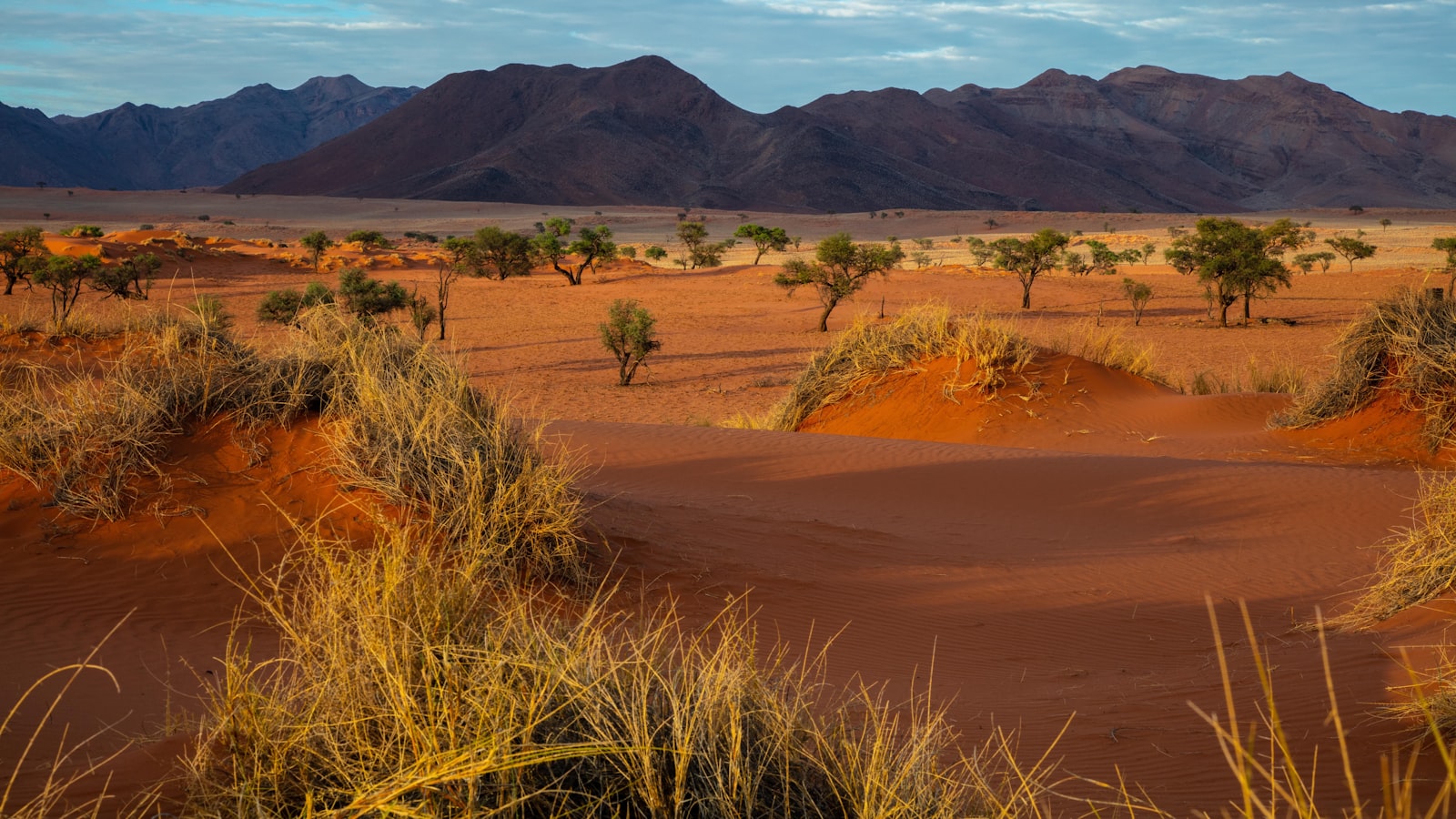 The desert landscape of Namibia