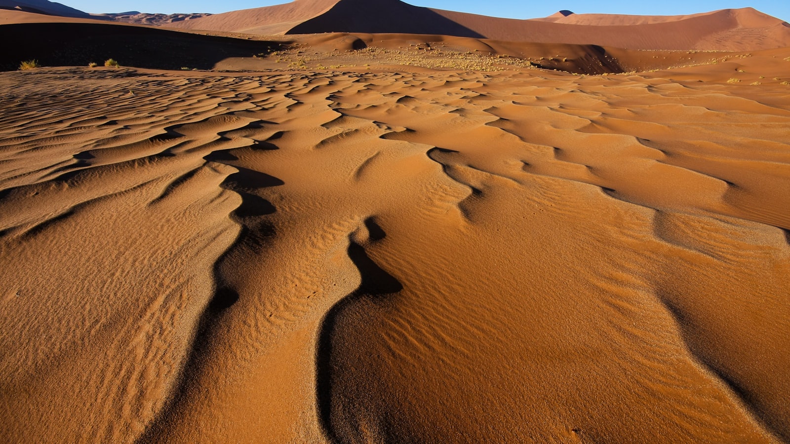 Sunrise light on the dunes of the Namib Desert