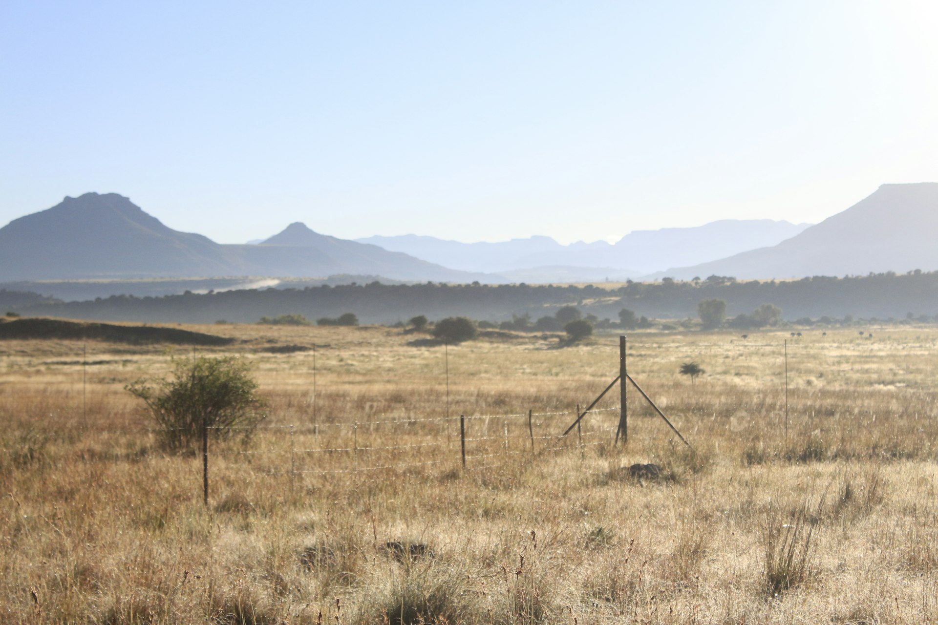 A Lesotho highland field with a fence and mountains in the background near Sani Pass