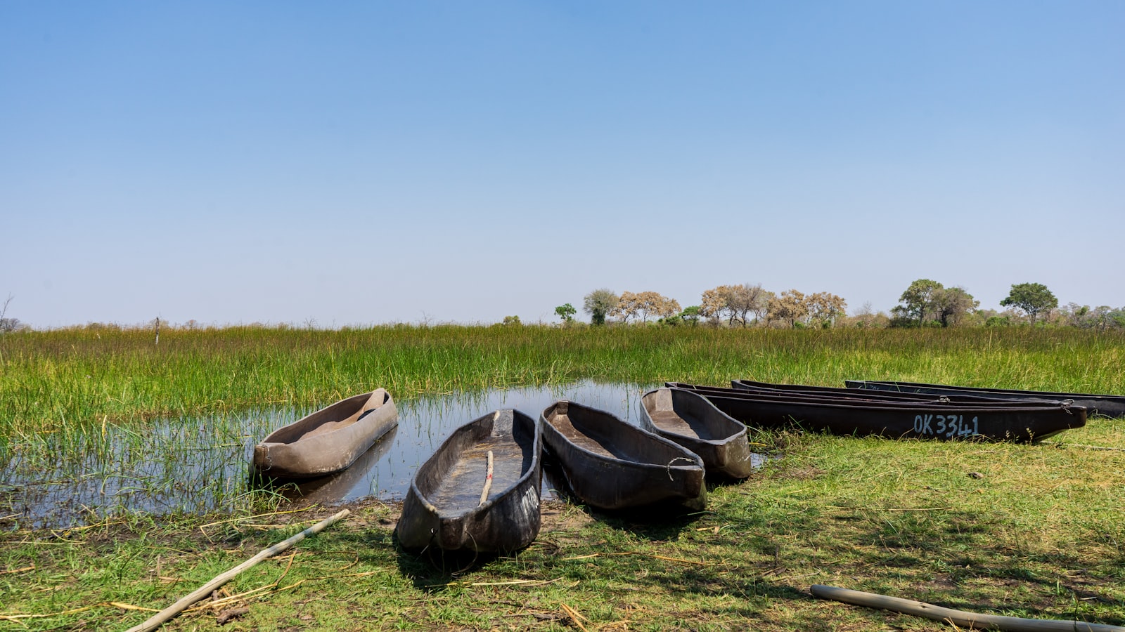 The channels of the Okavango Delta