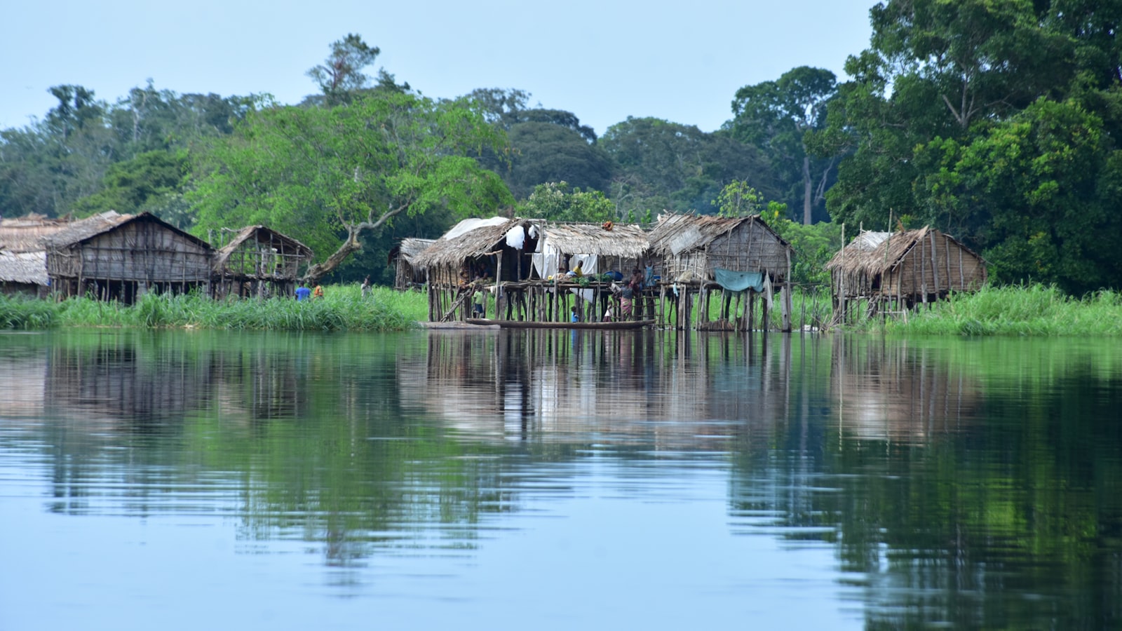 A river winding through Central African rainforest